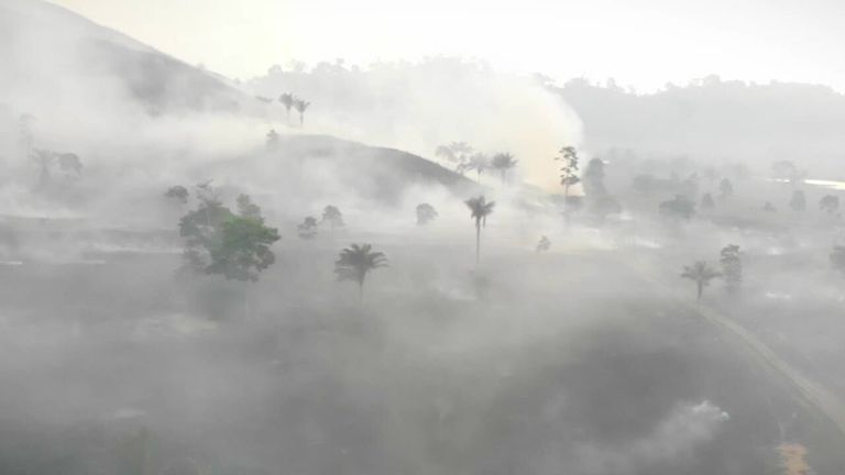 البرازيل: إزالة غابات الأمازون تصل إلى أعلى مستوى لها في 12 عامًا في عهد الرئيس بولسونارو | اخبار العالم